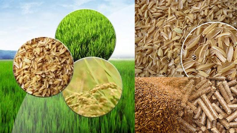 rice husk, straw, biomass, biomass briquettes