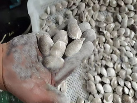 5 things to note when pressing quicklime balls!